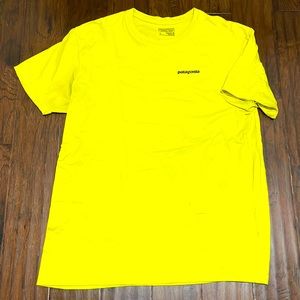 Patagonia T Shirt - Mens Large